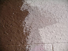 At least 6 different wall paints